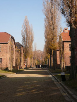 Auschwitz street