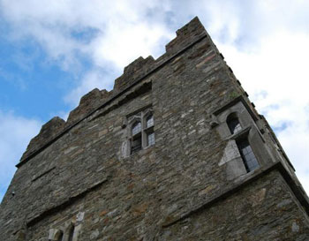 Desmond Castle tower