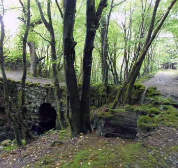 old drover's path near cottage