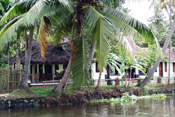 Kerala backwaters scenery