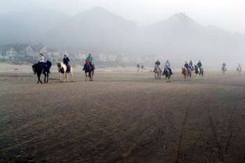 horses on Oregon coast beach