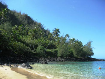Kaua'i waterfront shoreline