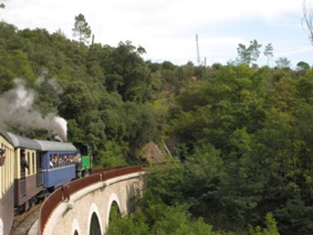 train on trestle bridge