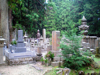 graves in forest
