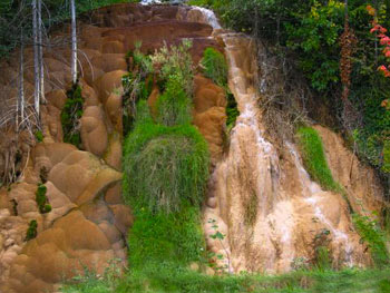 calcified knoll at Fairmont Hot Springs