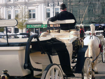 carriage ride in Krakow