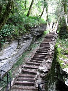 pathway steps
