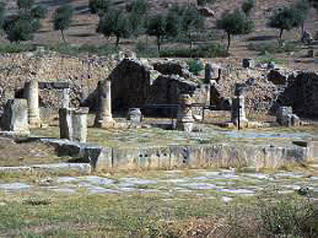 Bath of Julia Memmia
