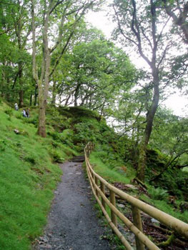 walkway to Glendalough