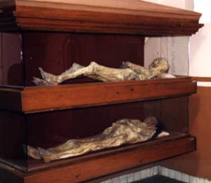 mummies in museum