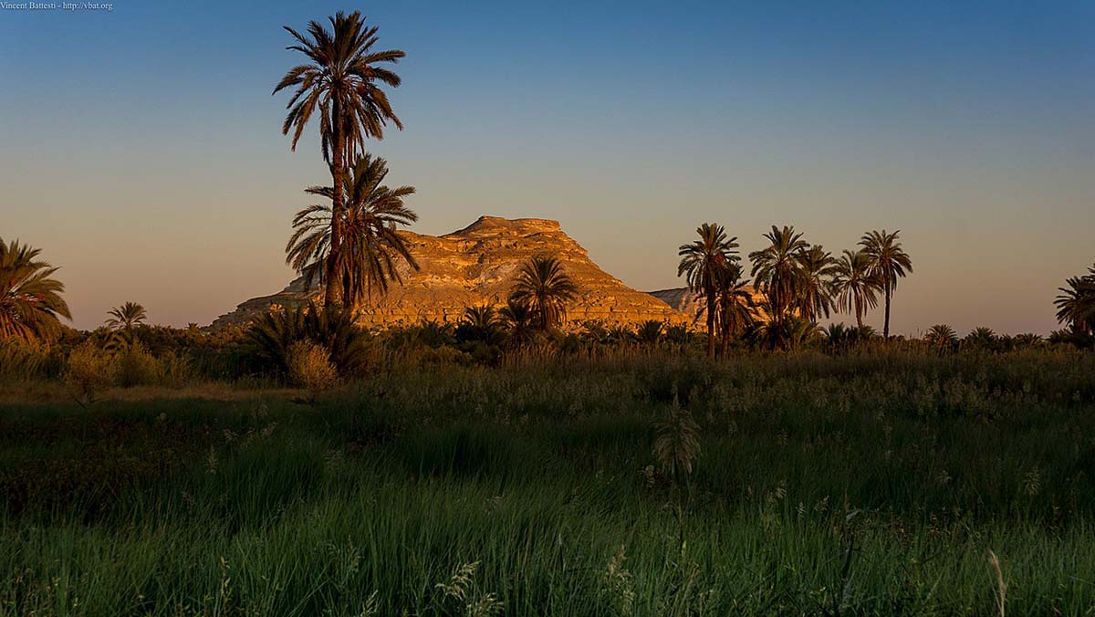 Siwa Oasis at sunset