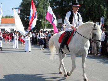 horse and rider in Ðakovo parade