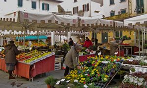Pistoia market