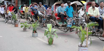 Dhaka cycke rickshaws