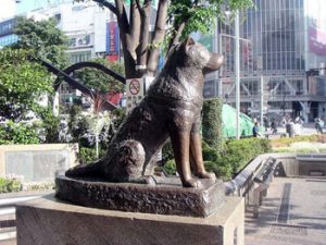 Hachiko dog statue