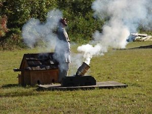 Civil War cannon simulation