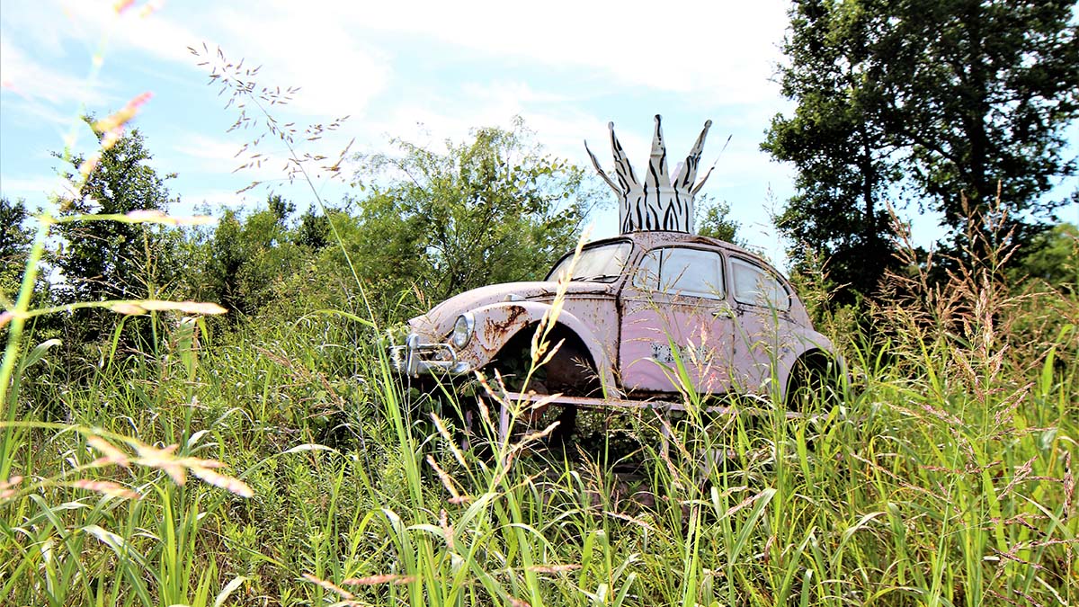Pink VW beetle in grass