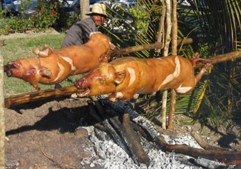whole pigs roasting on spits over fire
