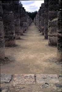 view between rows of columns