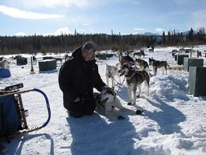 woman with sled dogs in snow