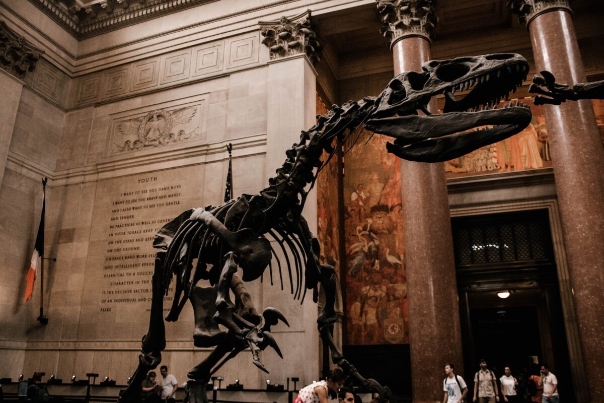 American Museum of Natural History, one of the best museums for kids in the United States