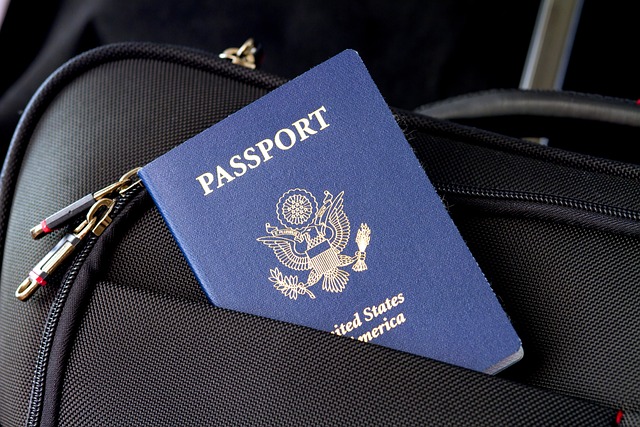 passport sticking out of suitcase pocket