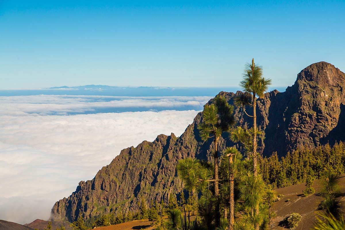 Tenerife scenic landscape