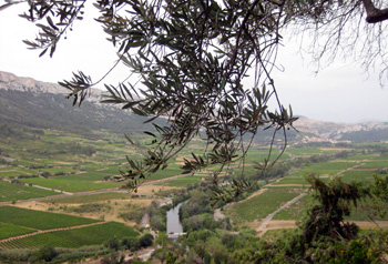 Overlooking the valley below Tautavel