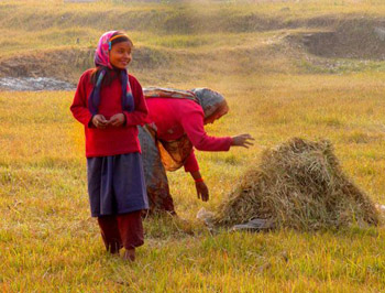 Woman tending farm field