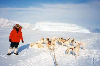 Inuit guide with sled dogs