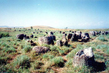 megalithic jars in field