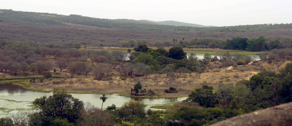 View of Ranthambore park