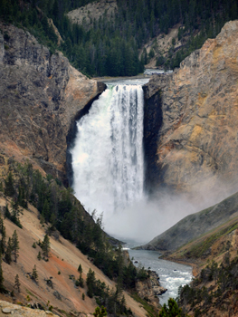 Yellowstone falls
