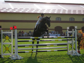horse jumping over barrier