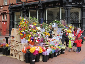Dublin flower shop