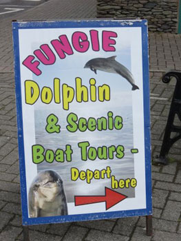 Advert for dolphin tours, Dingle