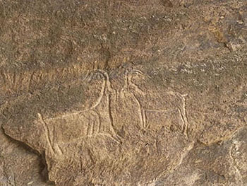 Gobustan rock art animals may be goats