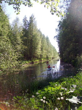 Canoeists in Viikki inlet 