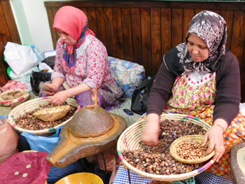 Women extracting argan oil