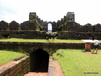 mirjan fort entrance