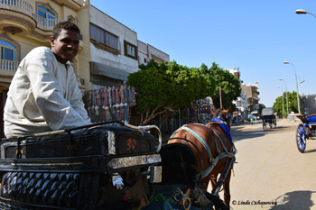 Nubian carriage driver