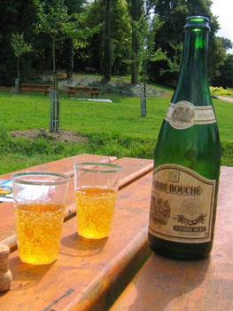 glasses and bottle of Normandy apple cider