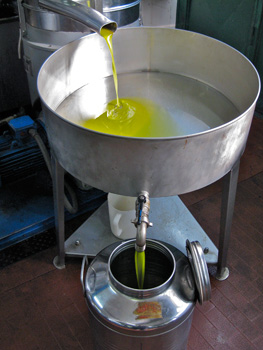 olive oil