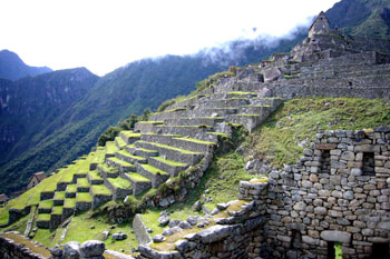 terraced hillside at Machu Picchu