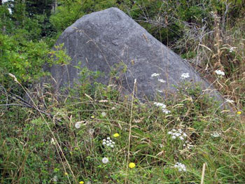 giant boulder referenced by George Vancouver