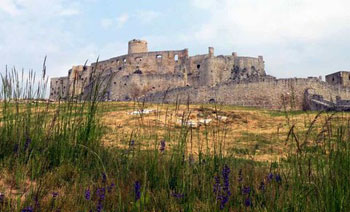 Spis castle ruins