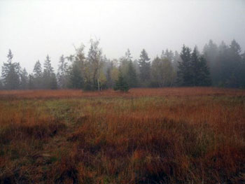 Entlebuch Moors