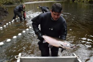 salmon fishing in Haida Gwaii