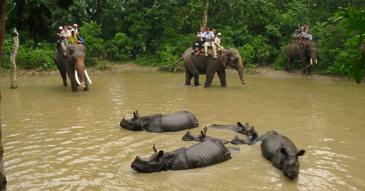 Chitwan Wildlife Sanctuary