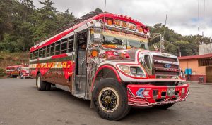 chicken bus guatemala